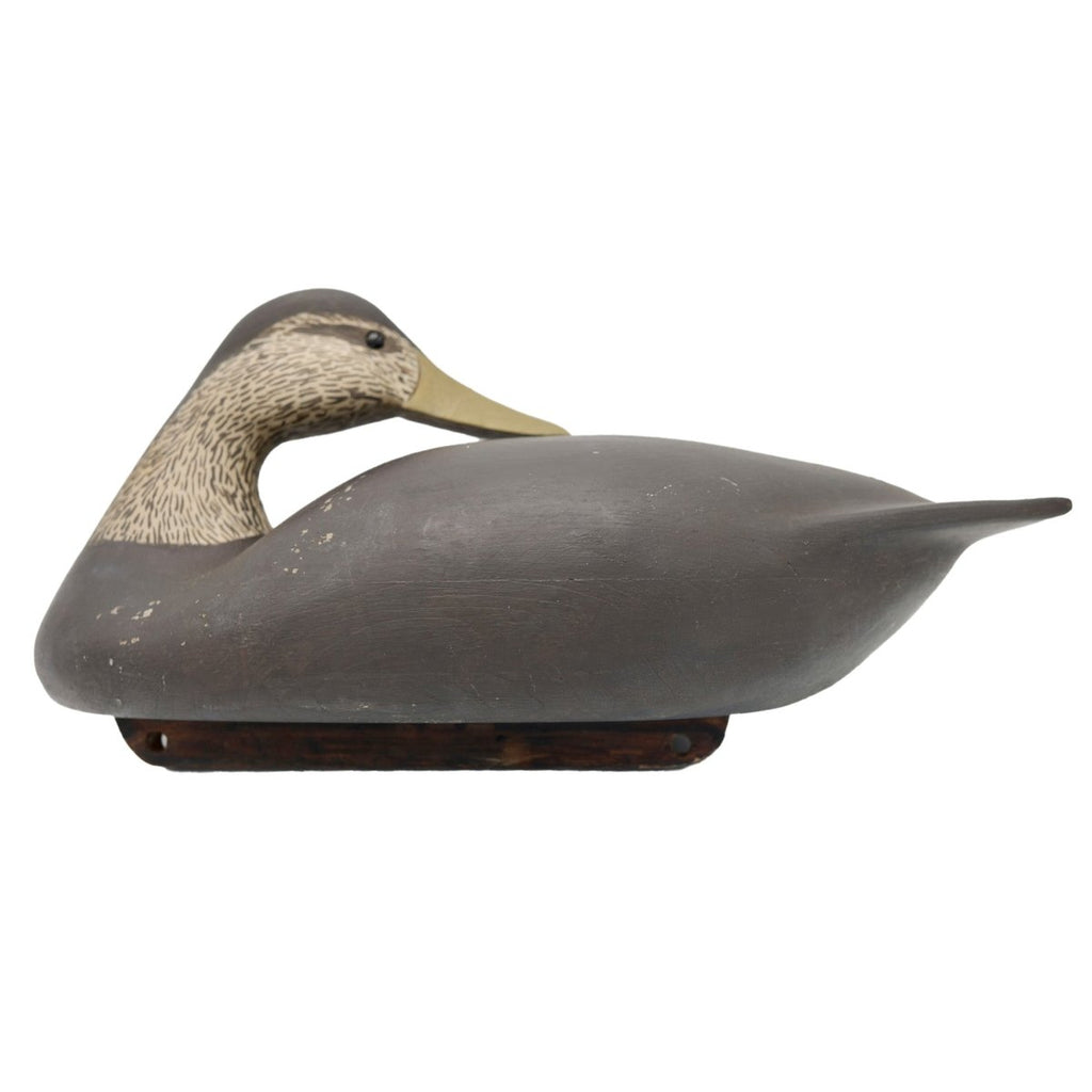 Preening Black Duck Decoy Hunting & Wildlife Decoys Atlantic Rancher Company