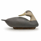 Preening Black Duck Decoy Hunting & Wildlife Decoys Atlantic Rancher Company