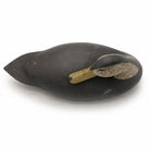 Preening Black Duck Decoy Hunting & Wildlife Decoys Atlantic Rancher Company