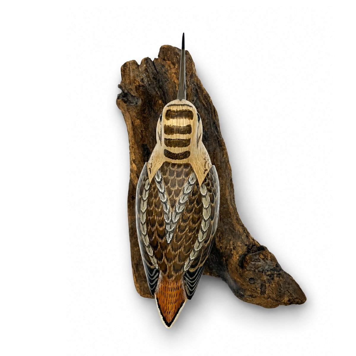 Rare Woodcock Carving - Shourds Hunting & Wildlife Decoys Atlantic Rancher Company