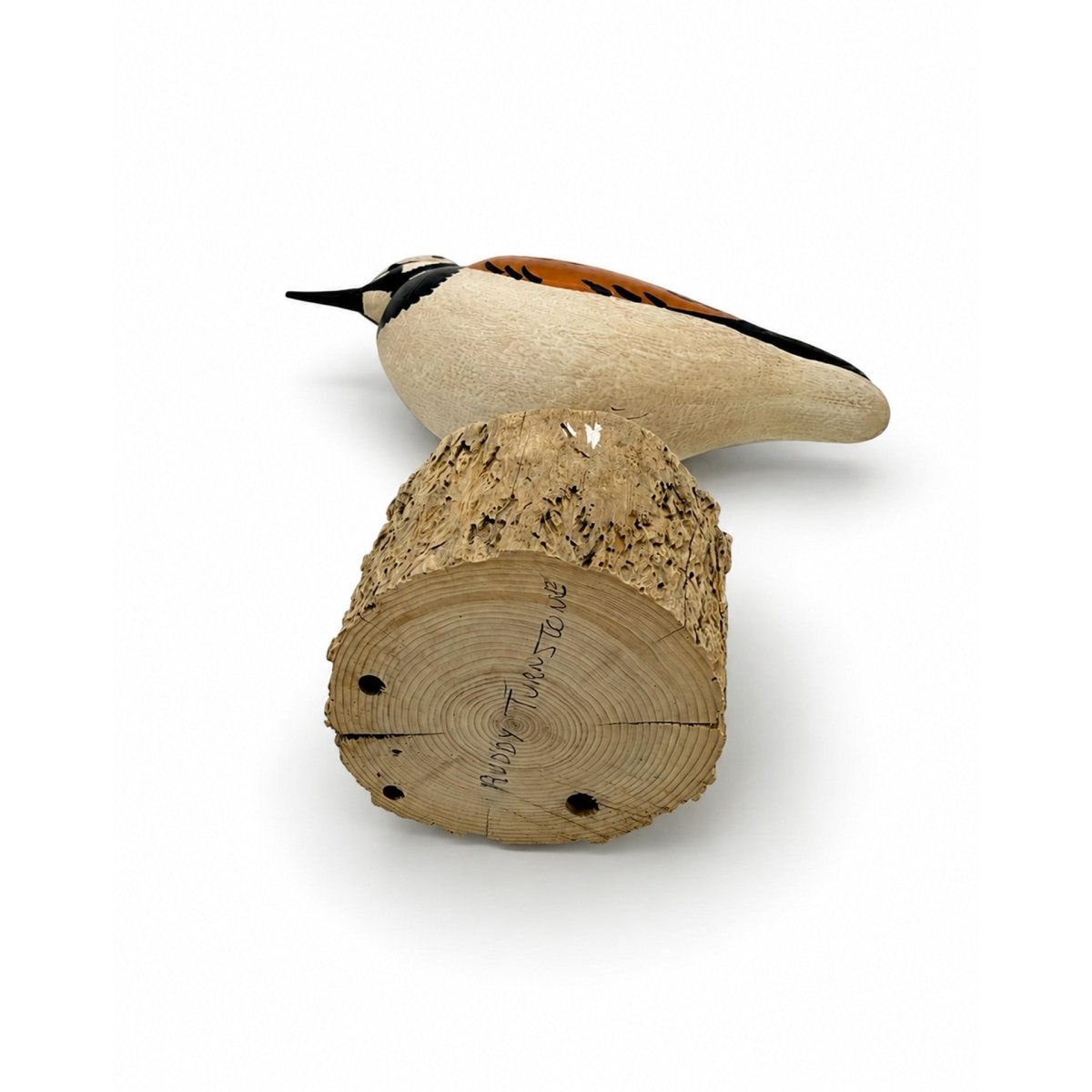 Ruddy Turnstone Carving Hunting & Wildlife Decoys Atlantic Rancher Company