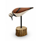 Ruddy Turnstone Decoy - S Morey Hunting & Wildlife Decoys Atlantic Rancher Company