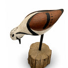 Ruddy Turnstone Decoy - S Morey Hunting & Wildlife Decoys Atlantic Rancher Company