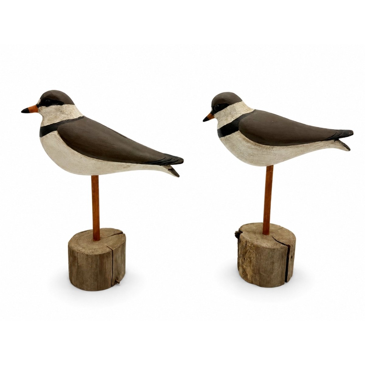 Semipalmated Plover Decoys Hunting & Wildlife Decoys Atlantic Rancher Company