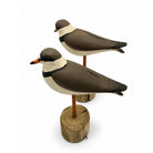Semipalmated Plover Decoys Hunting & Wildlife Decoys Atlantic Rancher Company