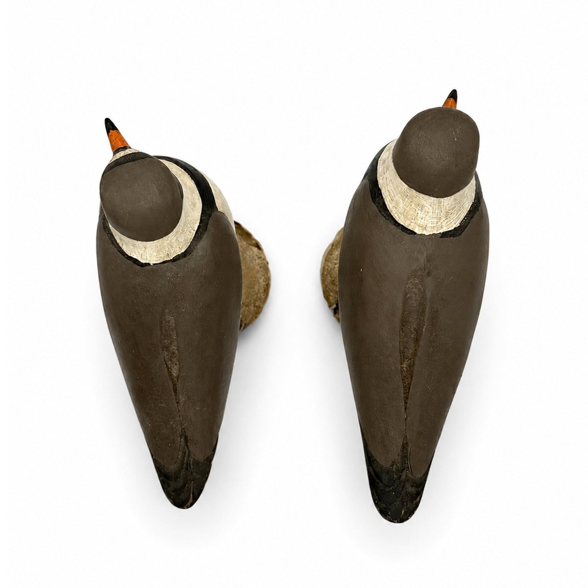 Semipalmated Plover Decoys Hunting & Wildlife Decoys Atlantic Rancher Company