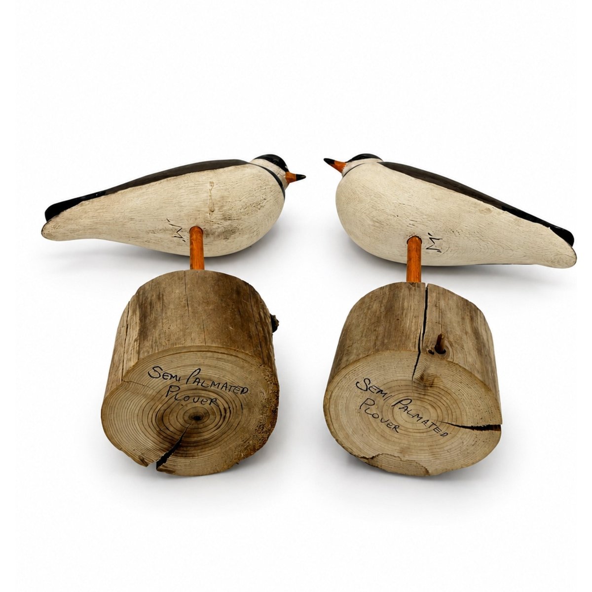 Semipalmated Plover Decoys Hunting & Wildlife Decoys Atlantic Rancher Company