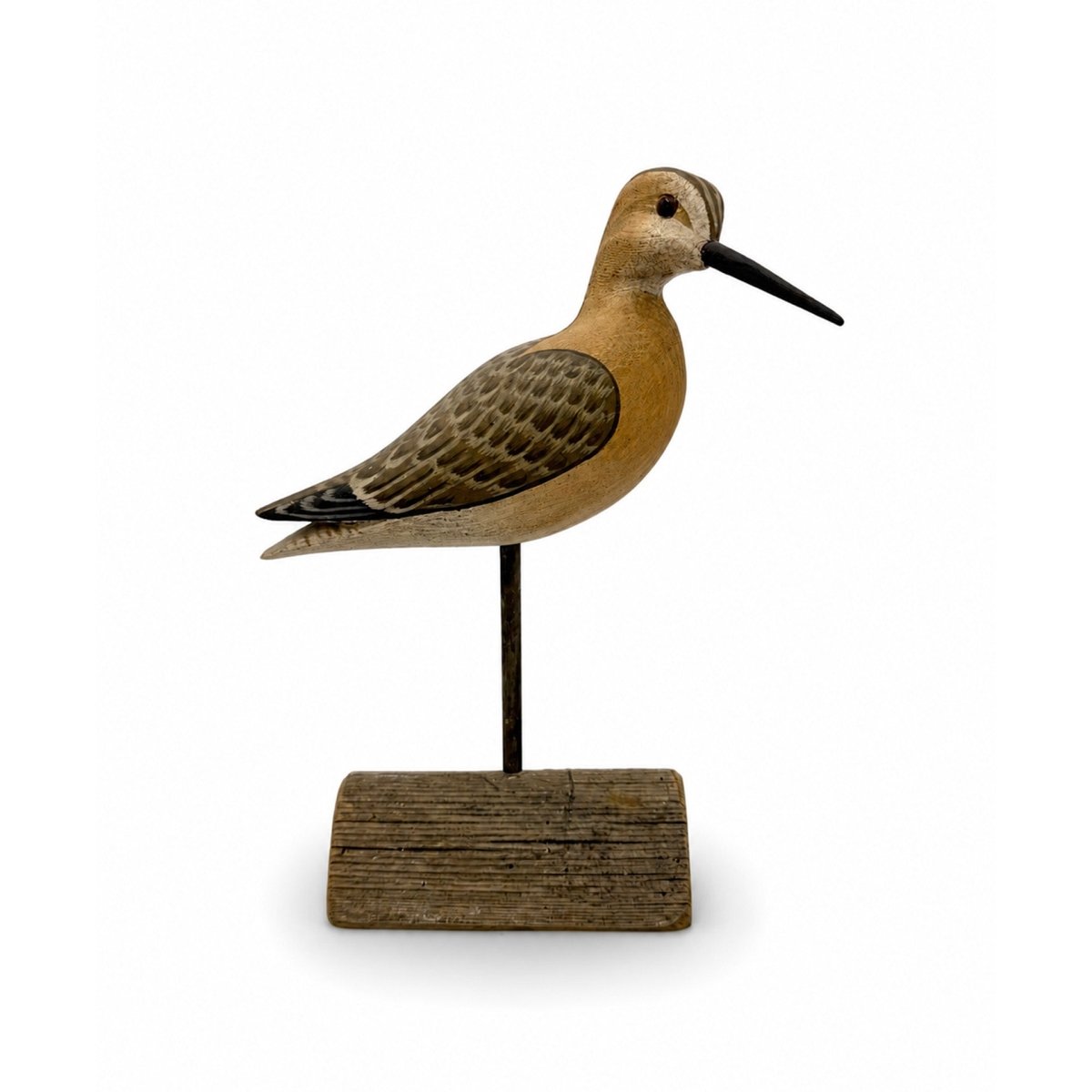 Short-Billed Dowitcher Decoy Hunting & Wildlife Decoys Atlantic Rancher Company