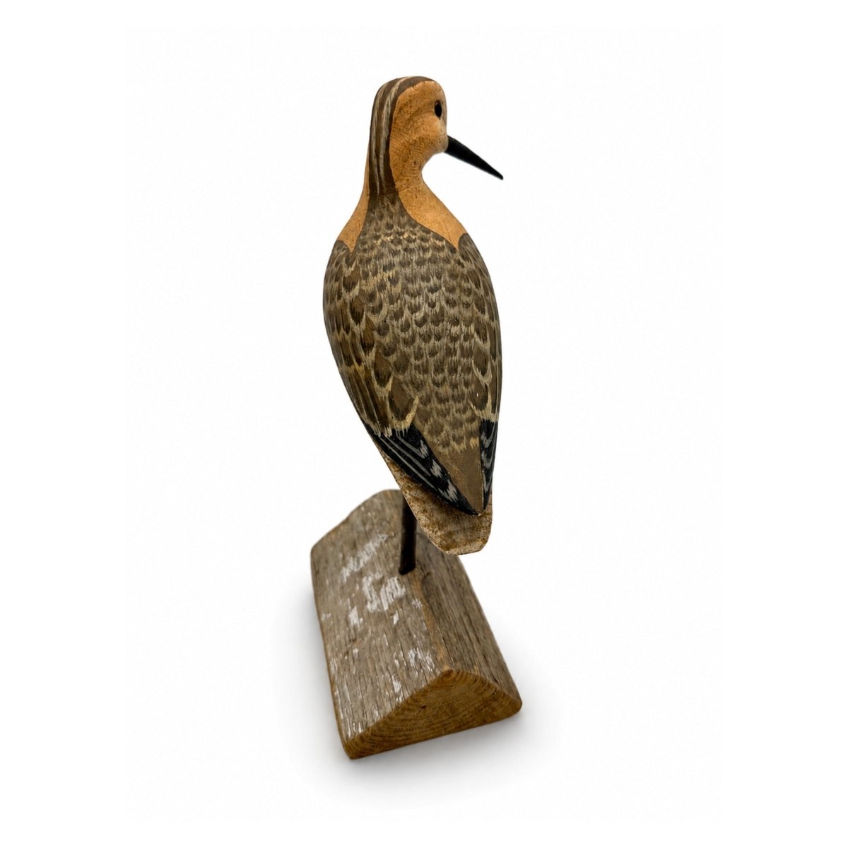 Short-Billed Dowitcher Decoy Hunting & Wildlife Decoys Atlantic Rancher Company