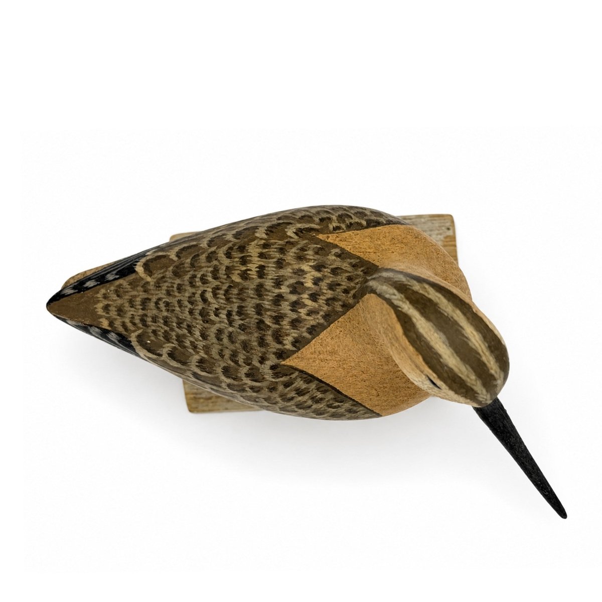 Short-Billed Dowitcher Decoy Hunting & Wildlife Decoys Atlantic Rancher Company