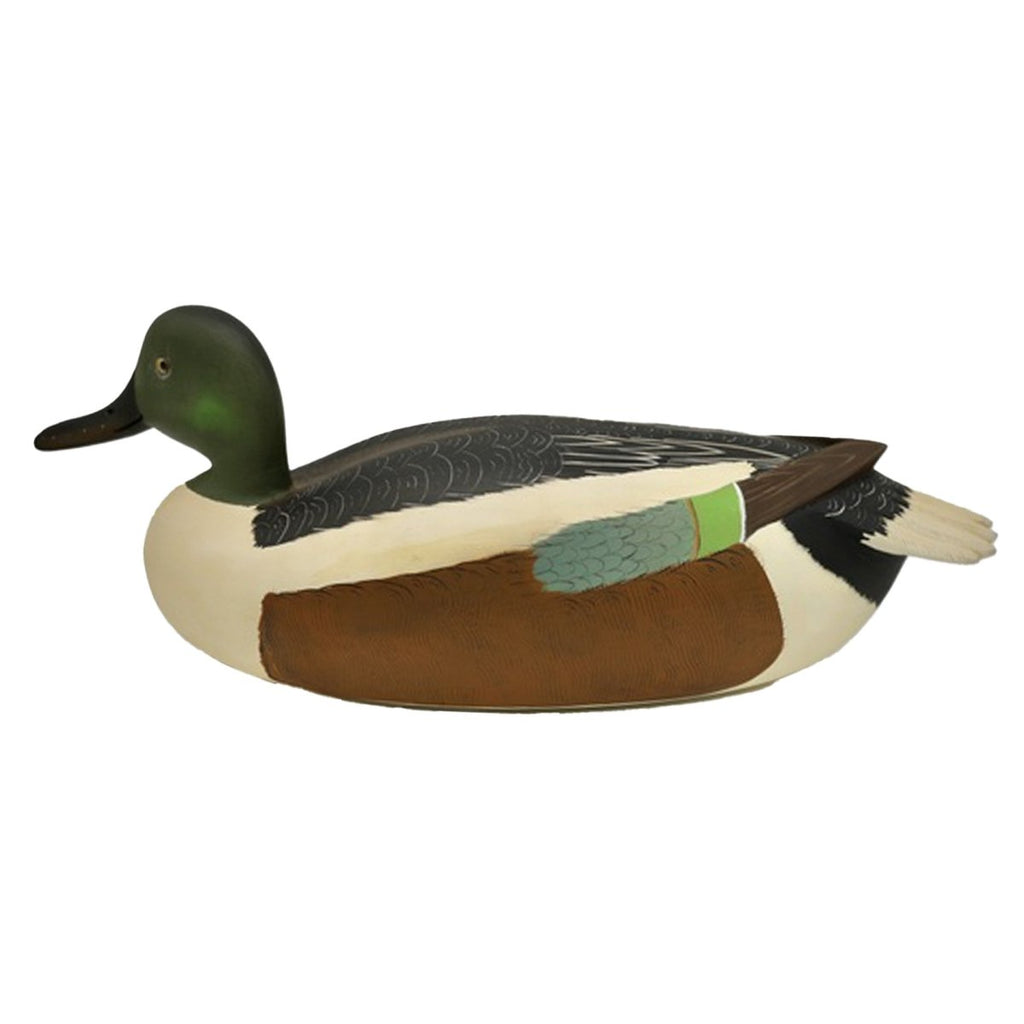 Shoveler Drake Duck Decoy Hunting & Wildlife Decoys Atlantic Rancher Company