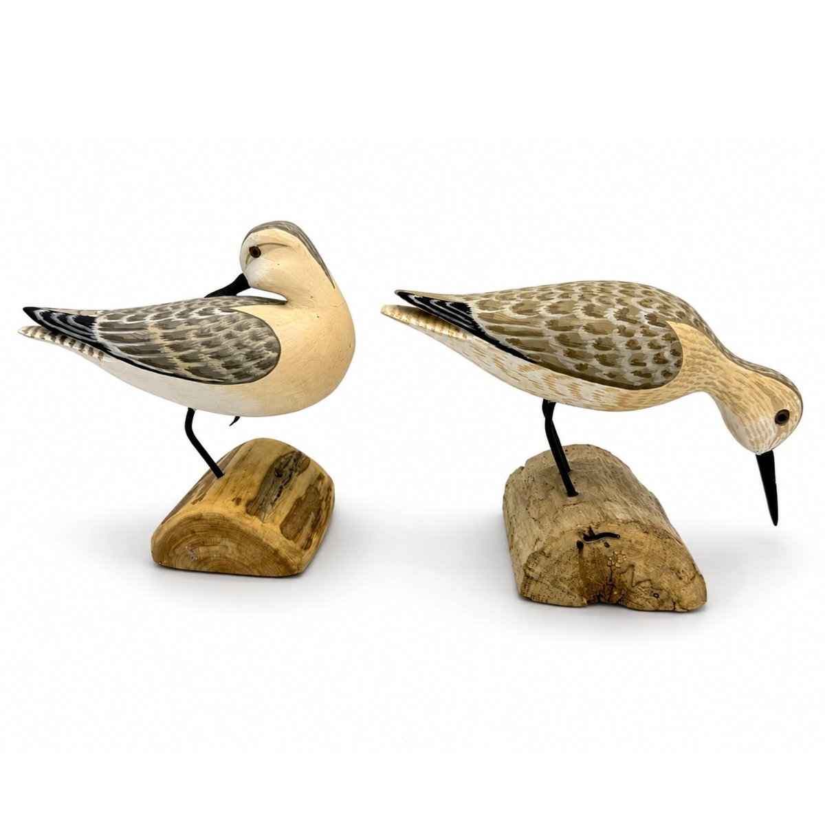 Two Sanderling Decoys - Shourds Hunting & Wildlife Decoys Atlantic Rancher Company