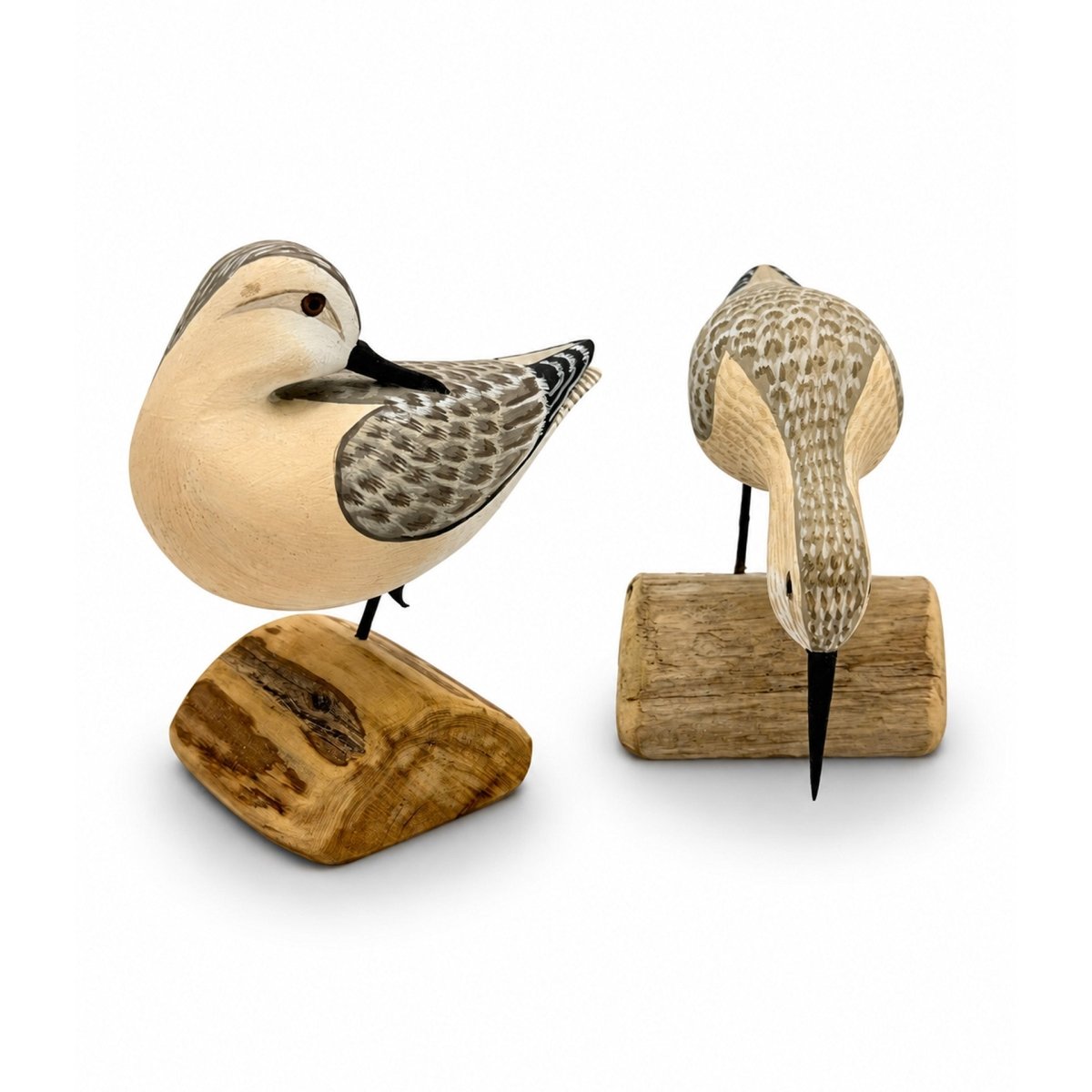 Two Sanderling Decoys - Shourds Hunting & Wildlife Decoys Atlantic Rancher Company