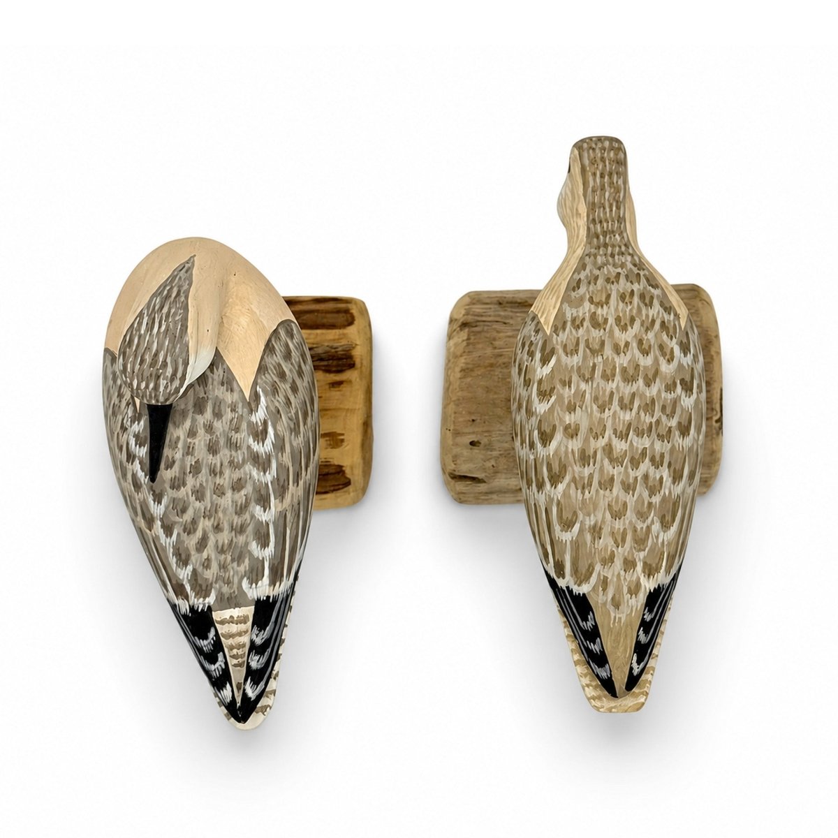 Two Sanderling Decoys - Shourds Hunting & Wildlife Decoys Atlantic Rancher Company