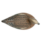 Wigeon Drake Duck Decoy Hunting & Wildlife Decoys Atlantic Rancher Company
