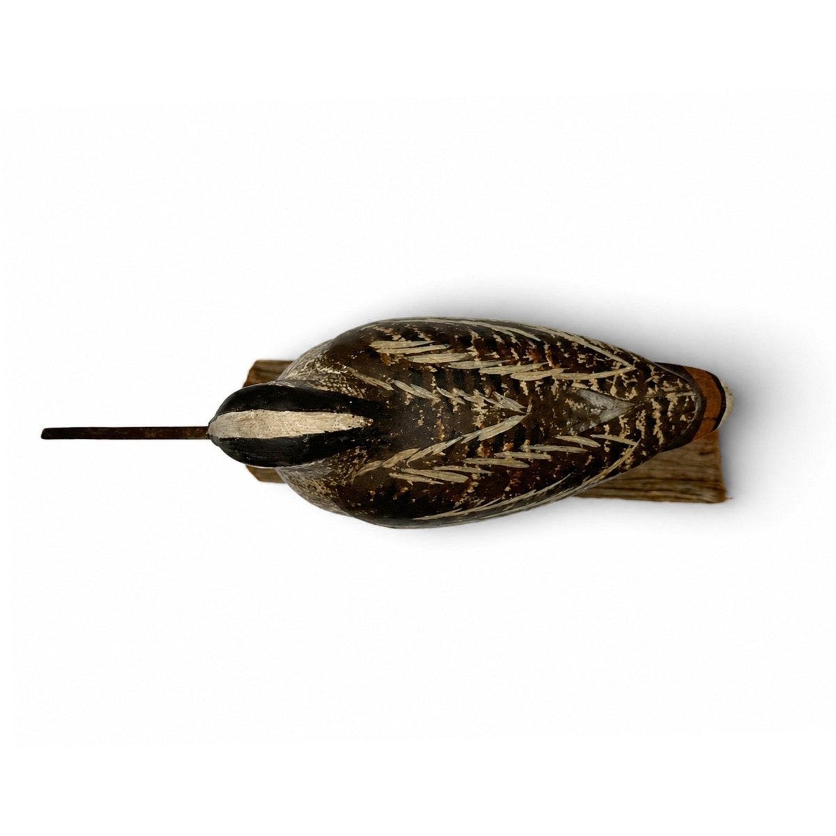 Wilson's Snipe Decoy Hunting & Wildlife Decoys Atlantic Rancher Company